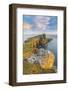 United Kingdom, Uk, Scotland, Inner Hebrides, the Cliffs of Neist Point-Fortunato Gatto-Framed Photographic Print