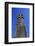 United Kingdom, Wales, Carew. The Carew Cross dates from the 11th century.-Kymri Wilt-Framed Photographic Print