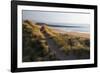 United Kingdom, Wales, Pembrokeshire. Dunes of Freshwater West Beach, Pembrokeshire, Wales.-Kymri Wilt-Framed Photographic Print