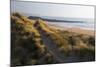 United Kingdom, Wales, Pembrokeshire. Dunes of Freshwater West Beach, Pembrokeshire, Wales.-Kymri Wilt-Mounted Photographic Print