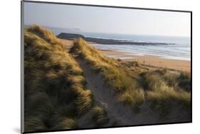 United Kingdom, Wales, Pembrokeshire. Dunes of Freshwater West Beach, Pembrokeshire, Wales.-Kymri Wilt-Mounted Photographic Print