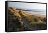 United Kingdom, Wales, Pembrokeshire. Dunes of Freshwater West Beach, Pembrokeshire, Wales.-Kymri Wilt-Framed Stretched Canvas