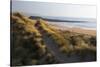 United Kingdom, Wales, Pembrokeshire. Dunes of Freshwater West Beach, Pembrokeshire, Wales.-Kymri Wilt-Stretched Canvas