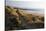 United Kingdom, Wales, Pembrokeshire. Dunes of Freshwater West Beach, Pembrokeshire, Wales.-Kymri Wilt-Stretched Canvas