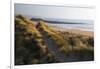 United Kingdom, Wales, Pembrokeshire. Dunes of Freshwater West Beach, Pembrokeshire, Wales.-Kymri Wilt-Framed Photographic Print