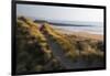 United Kingdom, Wales, Pembrokeshire. Dunes of Freshwater West Beach, Pembrokeshire, Wales.-Kymri Wilt-Framed Photographic Print