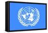 United Nations Flag Poster Print-null-Framed Stretched Canvas