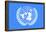 United Nations Flag Poster Print-null-Framed Poster