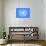 United Nations Flag-null-Art Print displayed on a wall