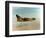 United States Air Force A-7D Corsair Jet Aircraft-null-Framed Photographic Print