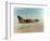 United States Air Force A-7D Corsair Jet Aircraft-null-Framed Photographic Print