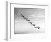 United States Army Monoplanes in Flight Formation-Bettmann-Framed Photographic Print