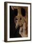 United States, Bandelier National Monument, Anasazi Culture, Cliff Dwellings-null-Framed Giclee Print