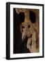 United States, Bandelier National Monument, Anasazi Culture, Cliff Dwellings-null-Framed Giclee Print