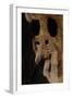 United States, Bandelier National Monument, Anasazi Culture, Cliff Dwellings-null-Framed Giclee Print