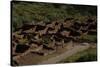 United States. Bandelier National Monument, Tyuonyi, Pueblo Indian Settlement-null-Stretched Canvas