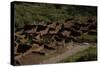 United States. Bandelier National Monument, Tyuonyi, Pueblo Indian Settlement-null-Stretched Canvas