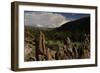 United States. Bandelier National Monument, Tyuonyi, Pueblo Indian Settlement-null-Framed Giclee Print