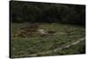 United States. Bandelier National Monument, Tyuonyi, Pueblo Indian Settlement-null-Stretched Canvas