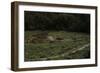 United States. Bandelier National Monument, Tyuonyi, Pueblo Indian Settlement-null-Framed Premium Giclee Print