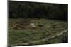 United States. Bandelier National Monument, Tyuonyi, Pueblo Indian Settlement-null-Mounted Giclee Print