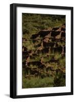 United States. Bandelier National Monument, Tyuonyi, Pueblo Indian Settlement-null-Framed Giclee Print