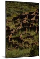 United States. Bandelier National Monument, Tyuonyi, Pueblo Indian Settlement-null-Mounted Giclee Print