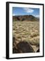 United States, Boca Negra Canyon, Petroglyph National Monument-null-Framed Giclee Print