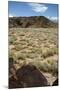 United States, Boca Negra Canyon, Petroglyph National Monument-null-Mounted Giclee Print