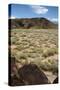 United States, Boca Negra Canyon, Petroglyph National Monument-null-Stretched Canvas