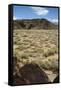 United States, Boca Negra Canyon, Petroglyph National Monument-null-Framed Stretched Canvas