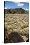 United States, Boca Negra Canyon, Petroglyph National Monument-null-Stretched Canvas