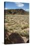 United States, Boca Negra Canyon, Petroglyph National Monument-null-Stretched Canvas