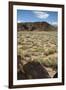 United States, Boca Negra Canyon, Petroglyph National Monument-null-Framed Giclee Print