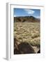 United States, Boca Negra Canyon, Petroglyph National Monument-null-Framed Giclee Print