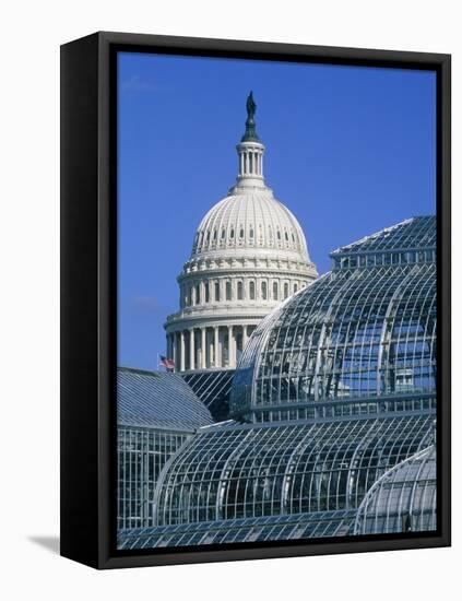 United States Botanic Garden Conservatory and Capitol, Washington DC, USA-Murat Taner-Framed Stretched Canvas