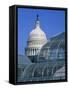 United States Botanic Garden Conservatory and Capitol, Washington DC, USA-Murat Taner-Framed Stretched Canvas
