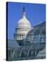 United States Botanic Garden Conservatory and Capitol, Washington DC, USA-Murat Taner-Stretched Canvas