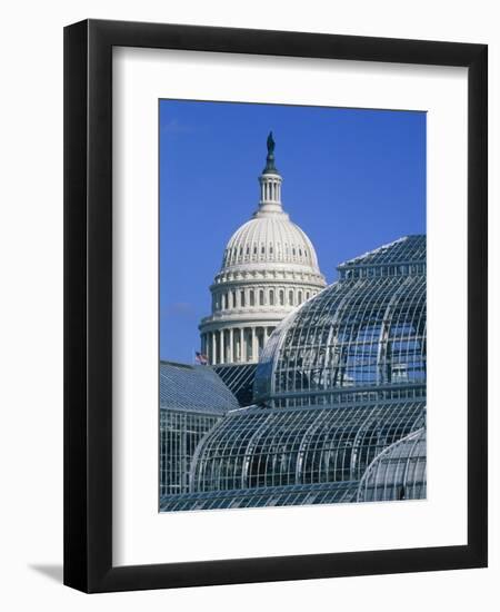 United States Botanic Garden Conservatory and Capitol, Washington DC, USA-Murat Taner-Framed Photographic Print