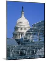United States Botanic Garden Conservatory and Capitol, Washington DC, USA-Murat Taner-Mounted Photographic Print