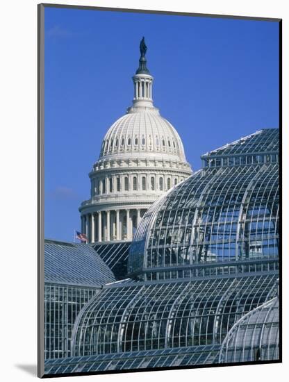 United States Botanic Garden Conservatory and Capitol, Washington DC, USA-Murat Taner-Mounted Photographic Print