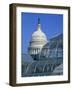 United States Botanic Garden Conservatory and Capitol, Washington DC, USA-Murat Taner-Framed Photographic Print