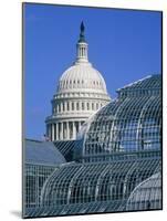 United States Botanic Garden Conservatory and Capitol, Washington DC, USA-Murat Taner-Mounted Photographic Print