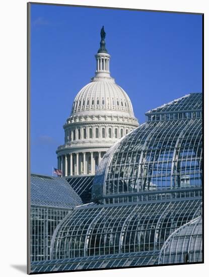 United States Botanic Garden Conservatory and Capitol, Washington DC, USA-Murat Taner-Mounted Photographic Print