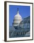 United States Botanic Garden Conservatory and Capitol, Washington DC, USA-Murat Taner-Framed Photographic Print