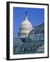 United States Botanic Garden Conservatory and Capitol, Washington DC, USA-Murat Taner-Framed Photographic Print