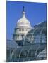 United States Botanic Garden Conservatory and Capitol, Washington DC, USA-Murat Taner-Mounted Photographic Print