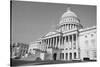 United States Capital Building-Larry Rubenstein-Stretched Canvas