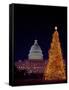 United States Capitol Building - Christmas Tree-Carol Highsmith-Framed Stretched Canvas
