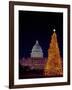 United States Capitol Building - Christmas Tree-Carol Highsmith-Framed Photo